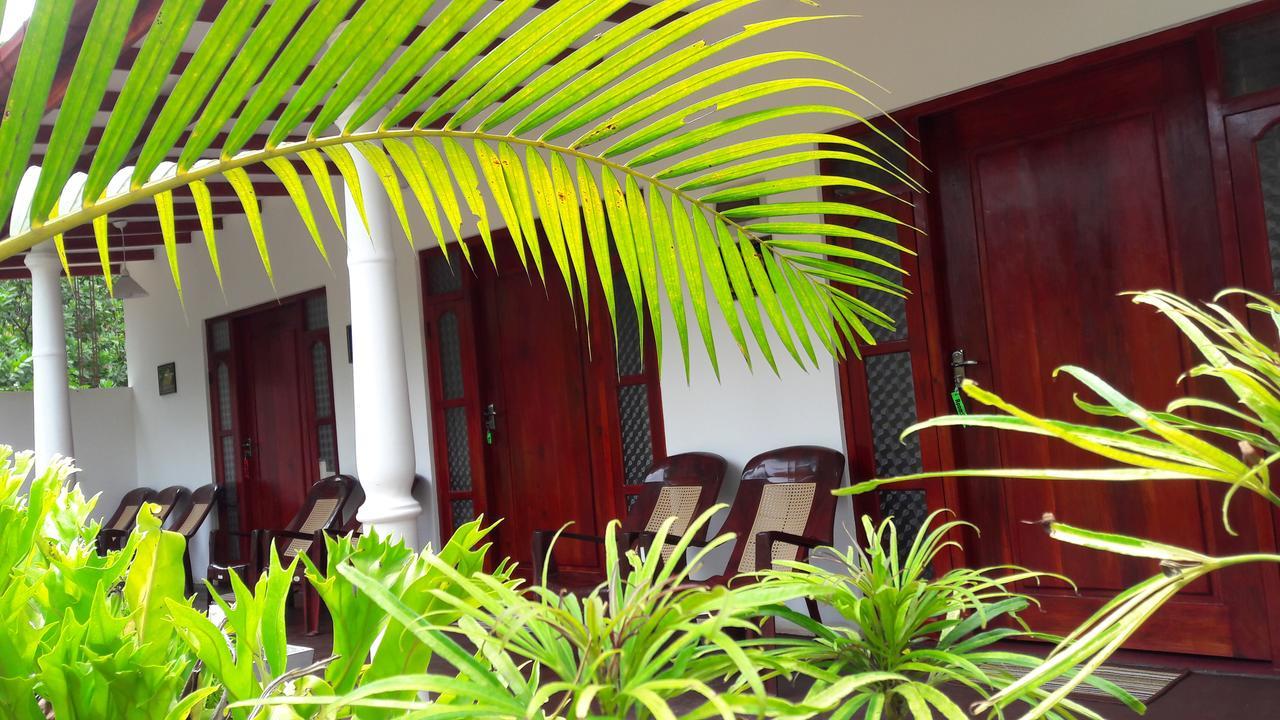 Richwin Villa Dambulla Exterior photo